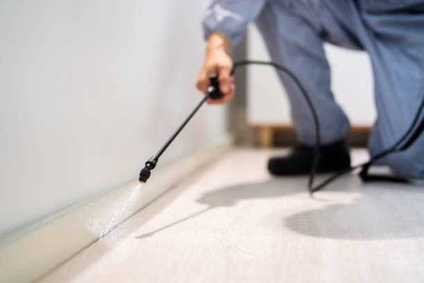 Licensed Exterminator service in Pottsville, AR - Show Me Pest Control