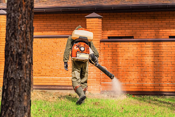 Top rated local Wasp Removal specialists in Pottsville, AR